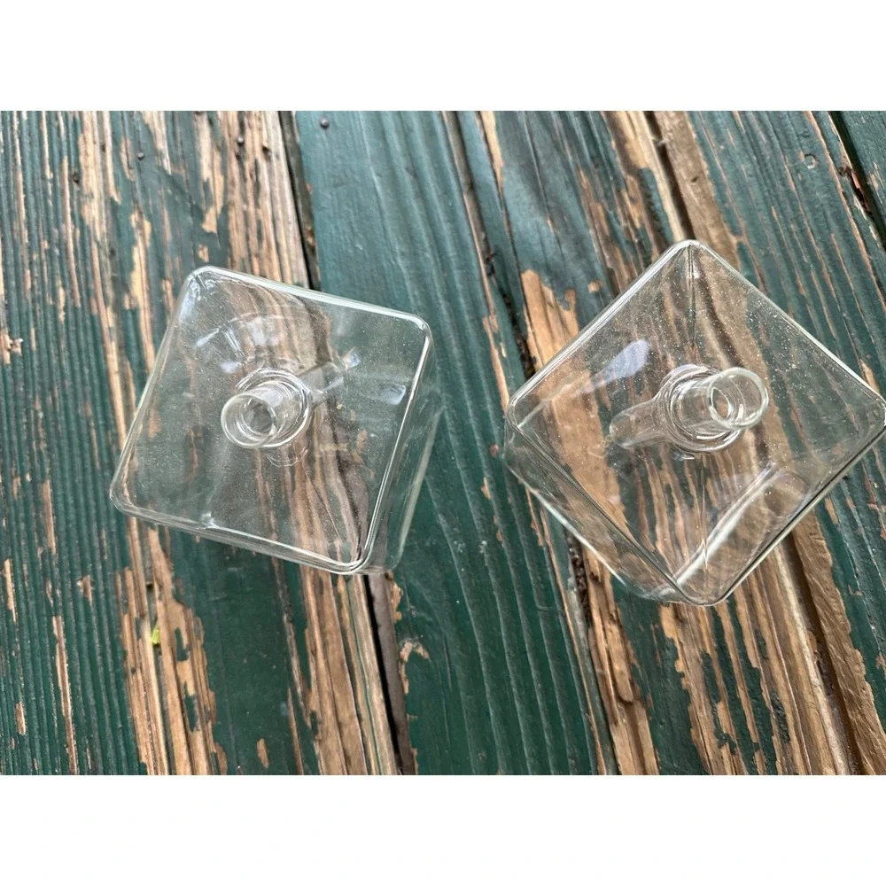 Roost  2 Clear Glass Cube Bud Vases Modern Minimalist Square Flower Vessels